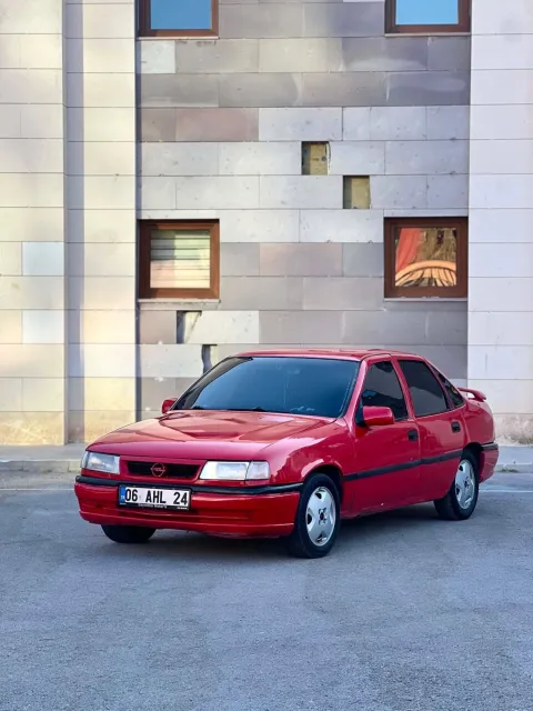 2. fotoğraf